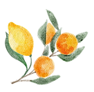 elementi 4.png