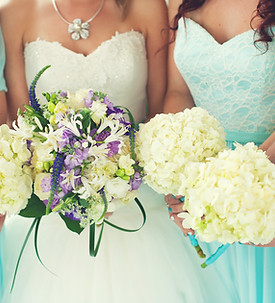 Bride and Bridesmaids