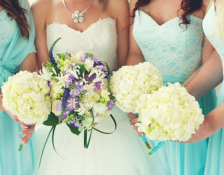 Bride and Bridesmaids