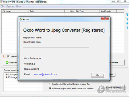 Okdo Word To Jpeg Converter [32|64bit]