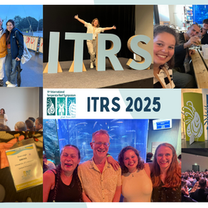 What happens at ITRS, stays at ITRS