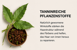 Tanninreiche Pflanzenstoffe