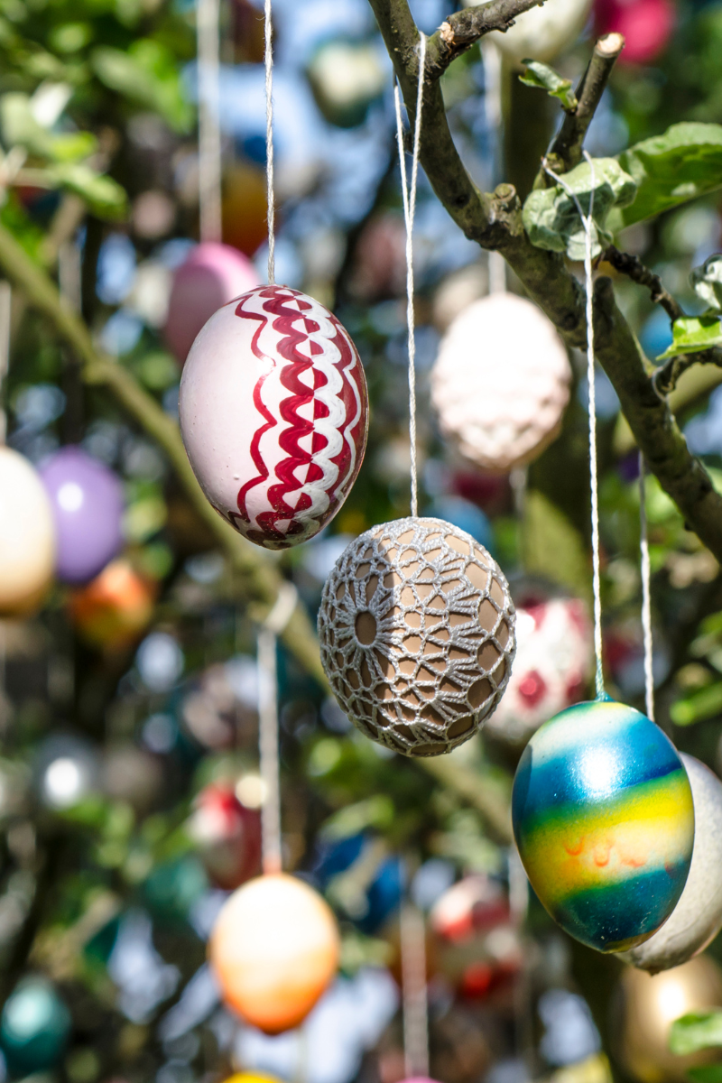 Osterbaum. Baum mit Ostereiern geschmückt.
