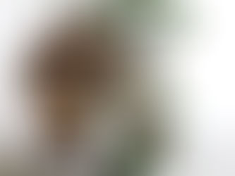 03/19/22: Monthly club meeting topic TBA