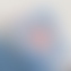 Americana Dinner Party