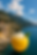 7ED12F7D-BD4E-40DE-9799-87E9FC32947D.png