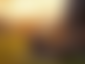 Elevate Your Well-Being with Spiritual Meditation Practices