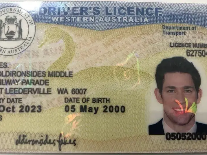 Use Driver’s License with care, we are not responsible for what you use this document for.

