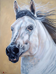 A link to products featuring a head shot of a grey horses head with mane flying on Redbubble