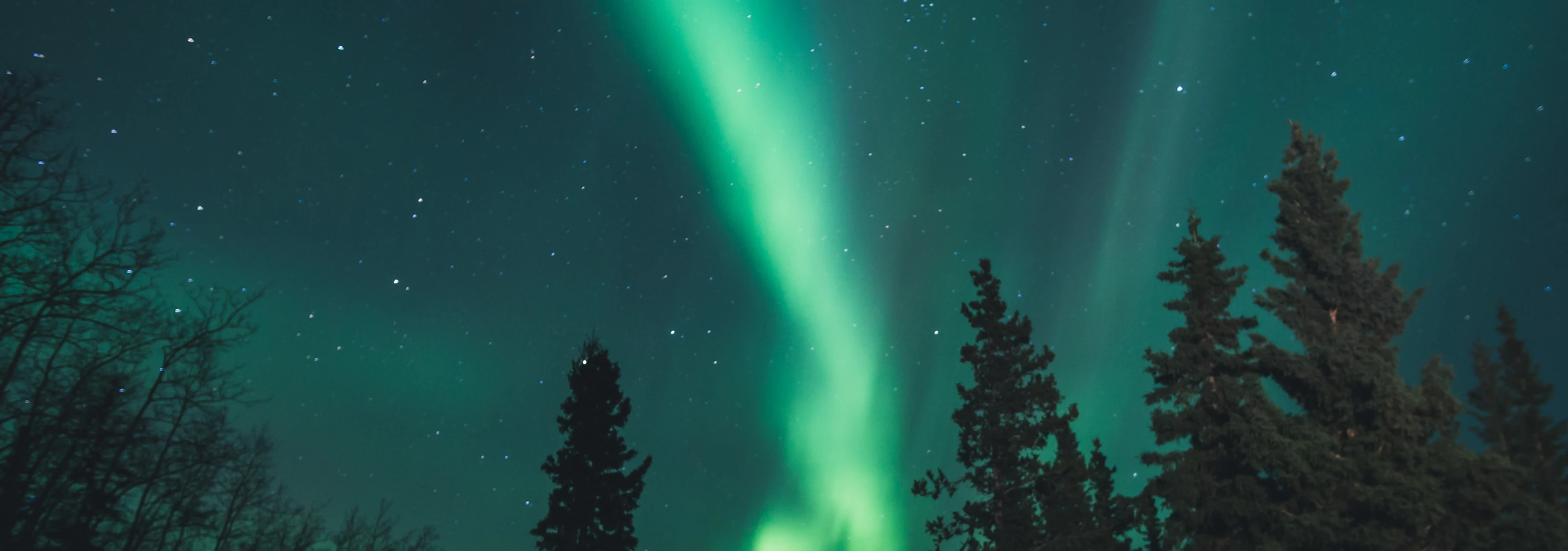 Old Sol Hintergrund.webp