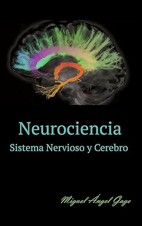 Neurociencia: Sistema Nervioso y Cerebrocerebro