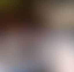 Gary Steelheads: 2000-2006