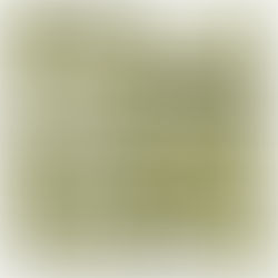 Promisor Band Debut's Shade Parade On KRXM Radio