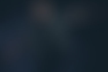 Chris Brown Arrested In Florida