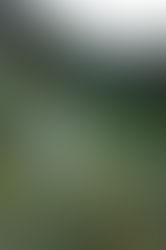 Natalie Duque’s Rise debut's on KRXM 24Hours Unplugged