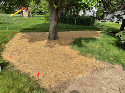 Lawn grading and seeding 2022 after