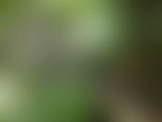 TORCHコワーキングスペースの役割や使命で思ったことがあったのでまとめてみた