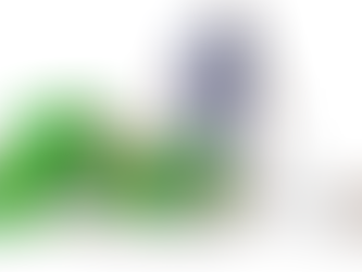 SÃO GABRIEL E O CASO ISOLADO NÚMERO...?