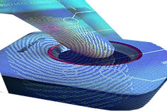 9825bc315c6034a821249e72c11349540823767a.png