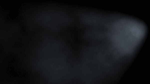 animation of a dog driving a foodtruck at night