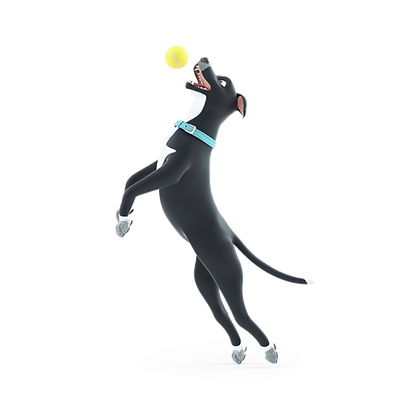 3d rocky jumping to catch a ball