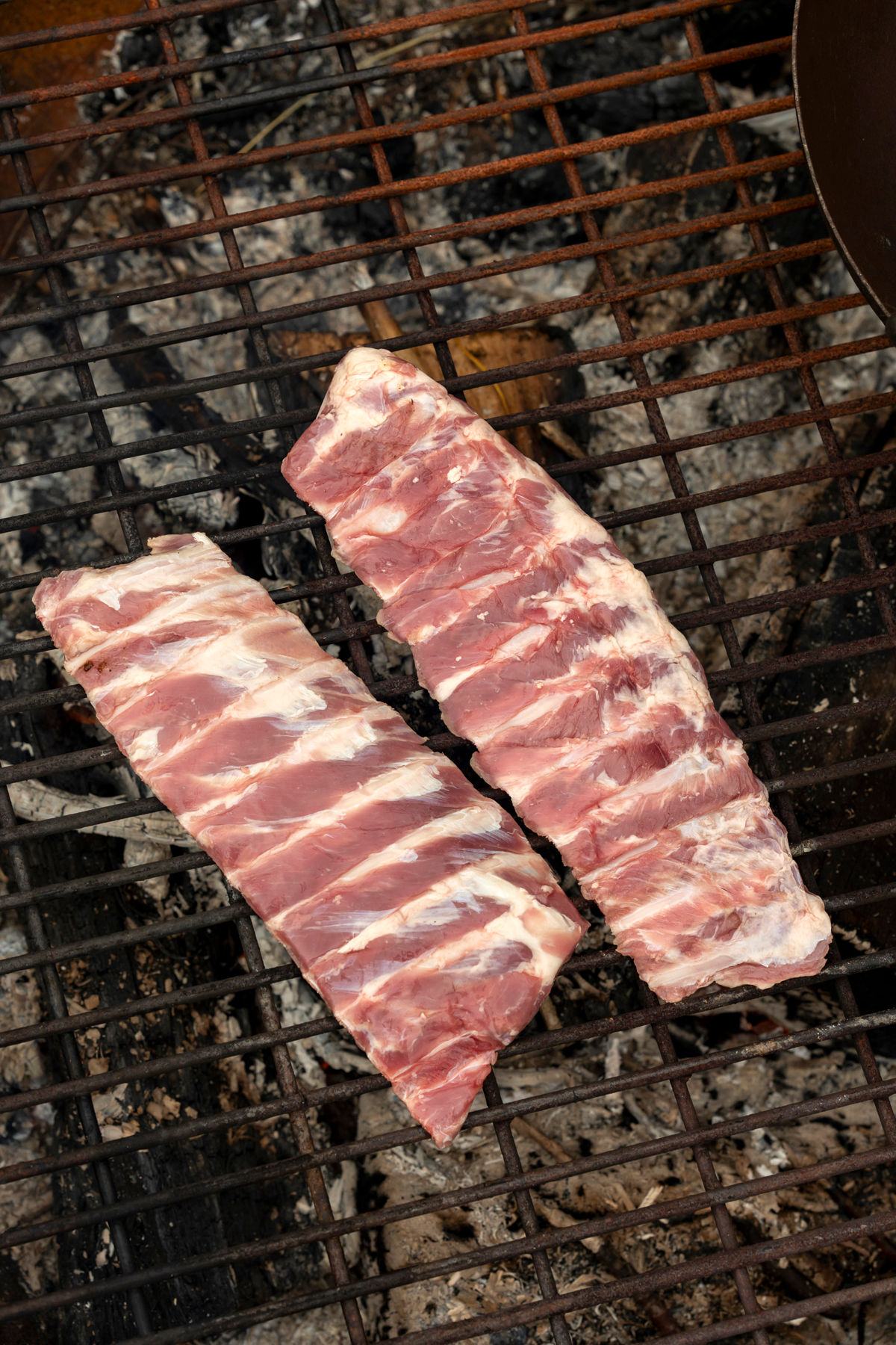 Pork USA Ribs