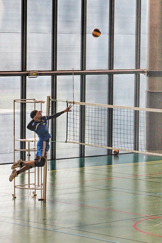 davideapa volley.jpeg