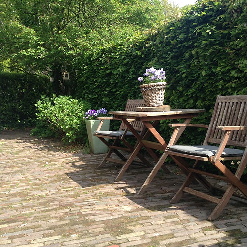 Bed & breakfast Dwingeloo