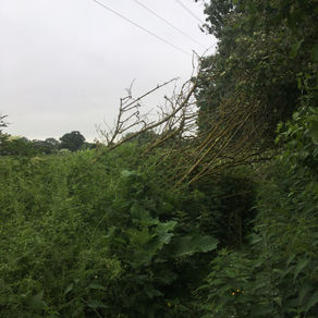 Following the Mardyke Way