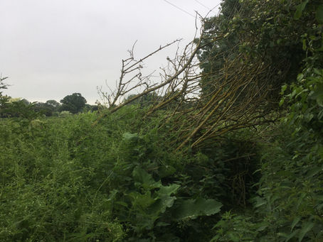 Following the Mardyke Way