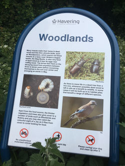 Woodland signage