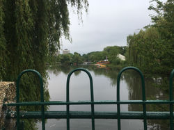 Looking across to the cafe