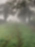 Profile photo.jpg