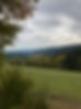 forestry landscape