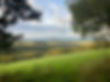 woodland landscape