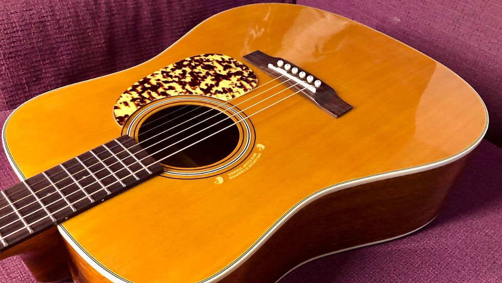 Miniature : Vente Tanglewood TW40-D AN Sundance Historic Dreadnought second life
