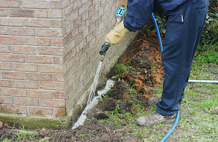 Termite treatment in South Florida Hero Pest Solutions