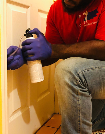 No Tent Termite Treatment Hero Pest Solutions