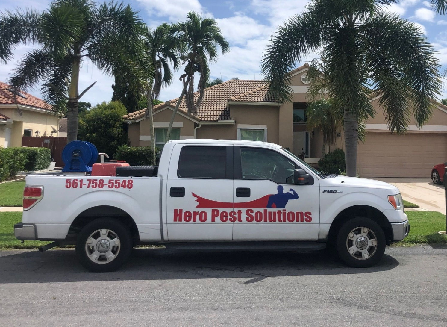 Annual Pest Control