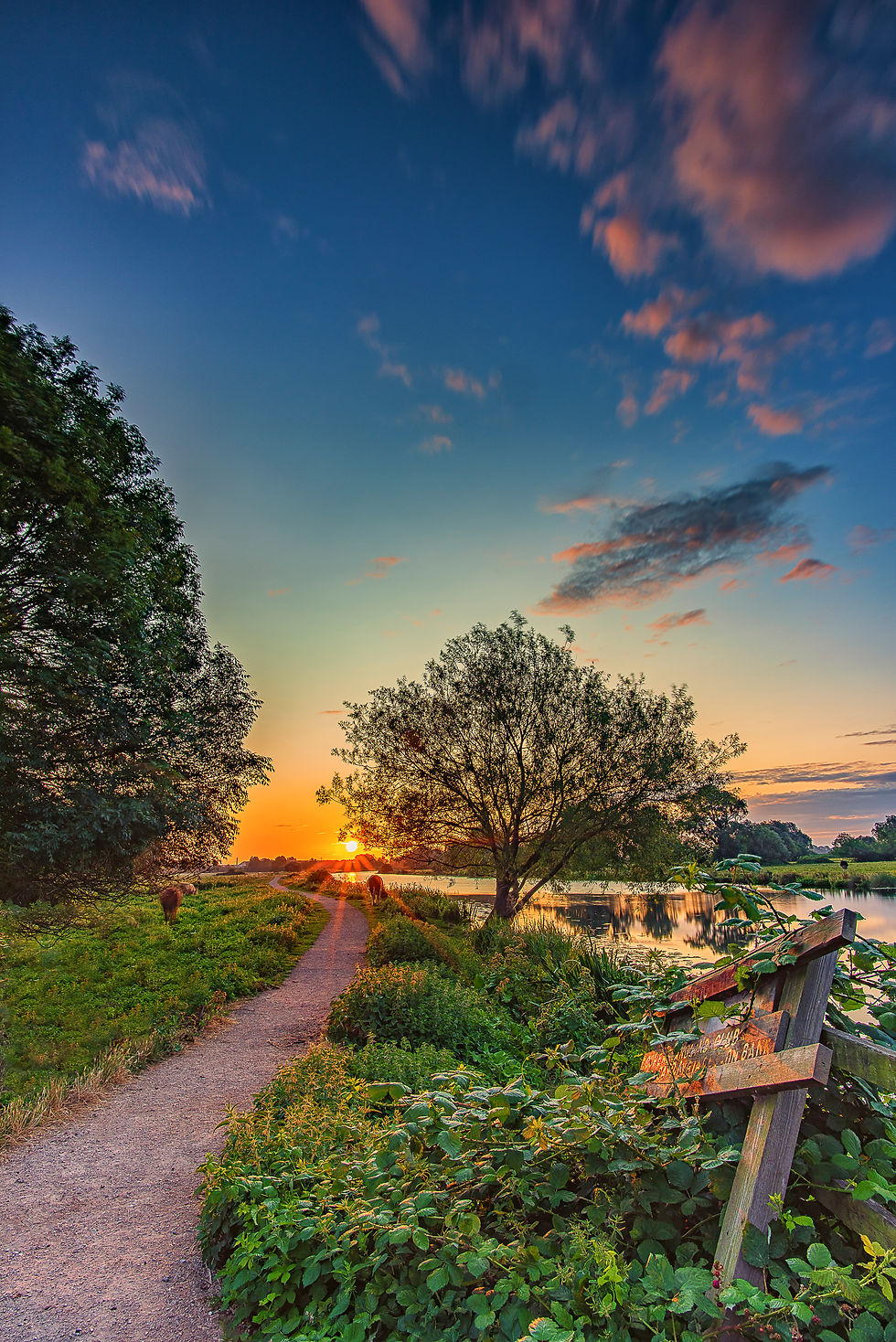 The Path to Sunrise Ely Riverside