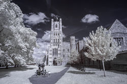 Infrared Images