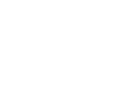 sigle 5