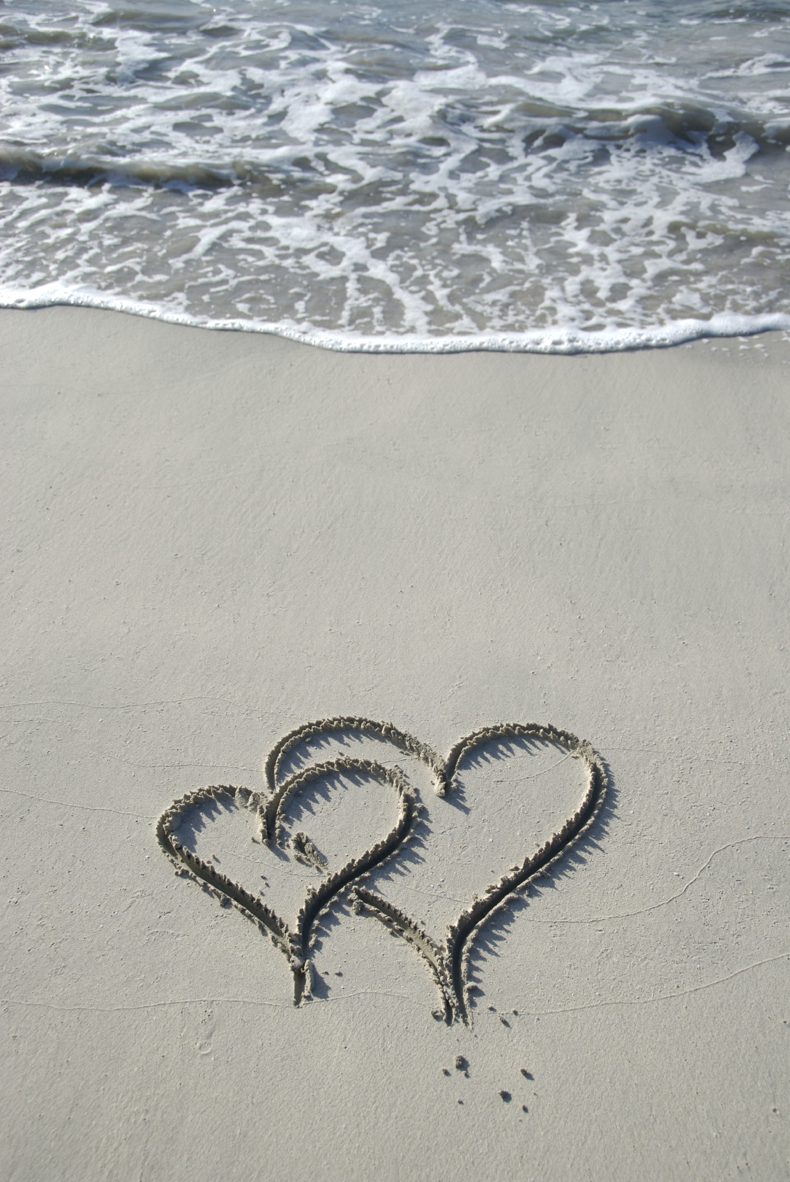 iStock_000005213673Medium.jpg