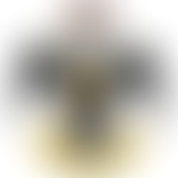 33rd degree FM symbol