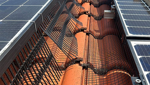 Bird Blocker Taubenabwehr