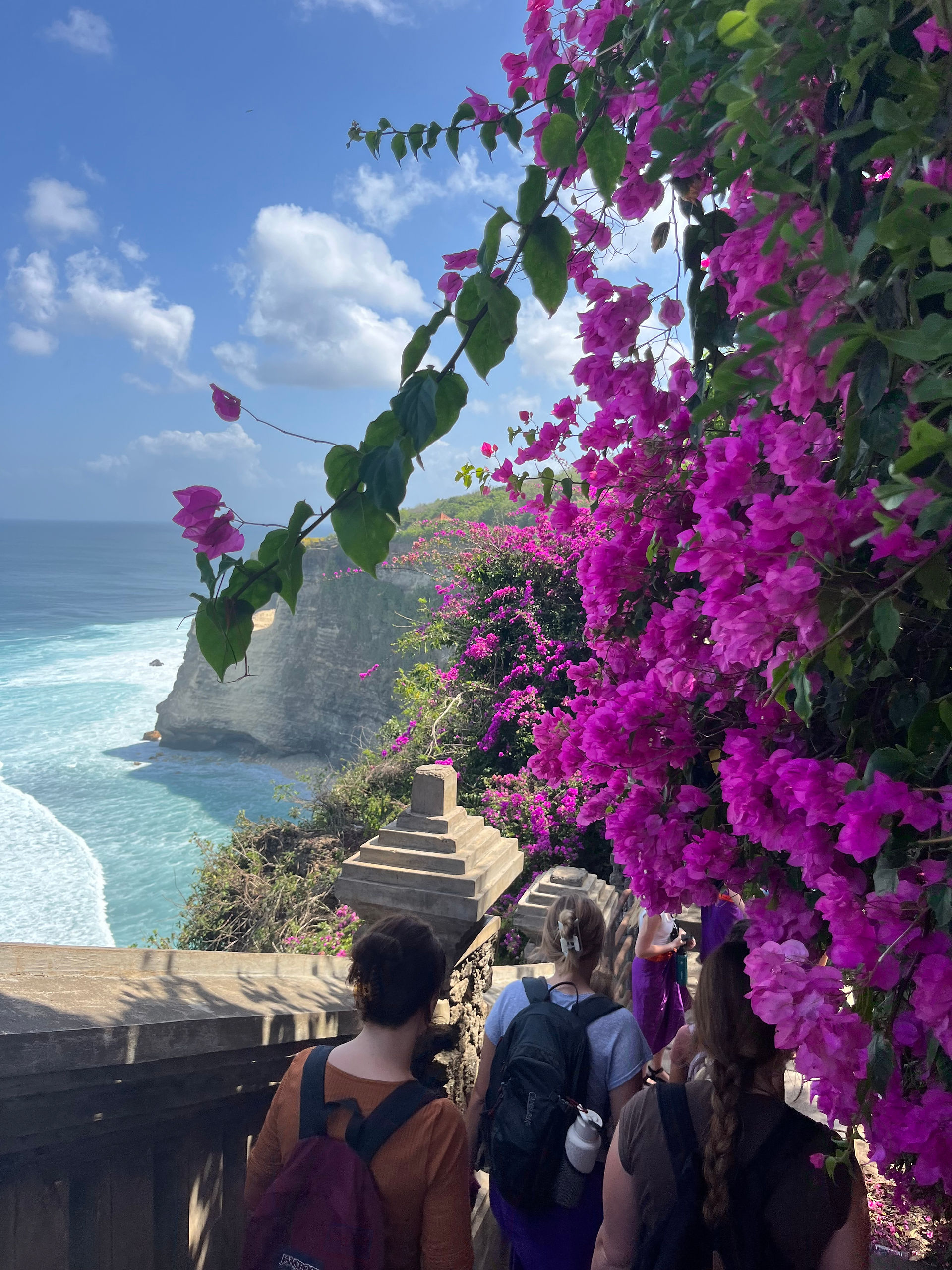 pink flowers in front of a Bali cliffside
