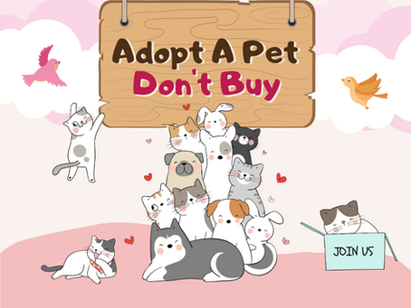 The Joy of Adoption: Why You Should Consider Adopting a Pet Instead of Buying