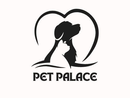 Welcome to Pet Palace - the ultimate destination for your furry friend! Your premium pet experience