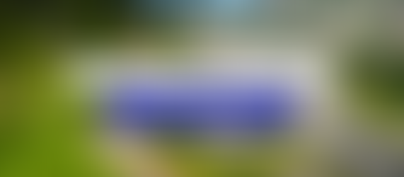 The Leader’s Journey: Transforming Challenges Into Triumphs