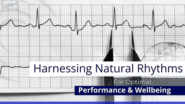 Harnessing Natural Rhythms for Optimal Performance and Well-Being